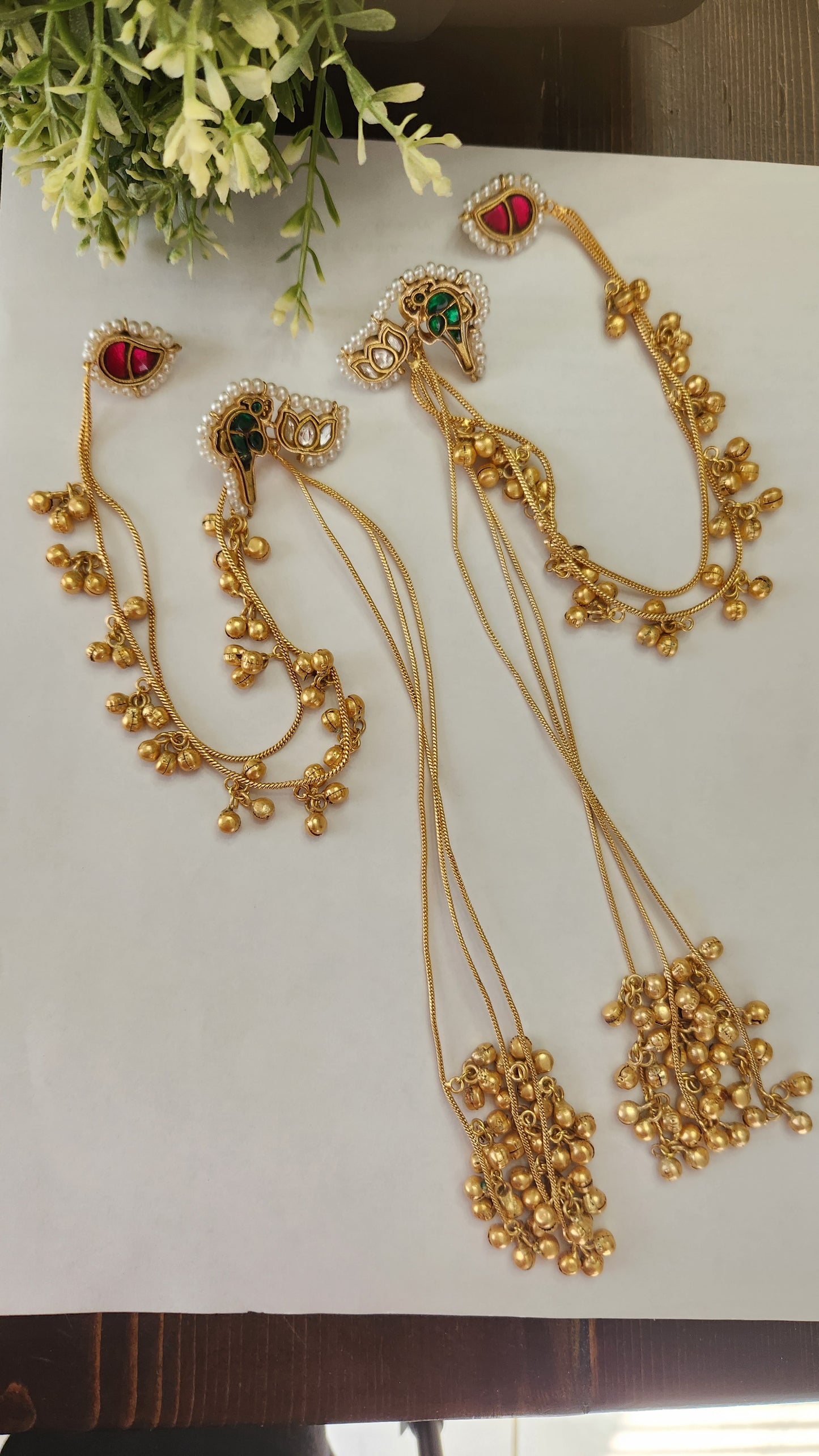 Bird Kashmiri design