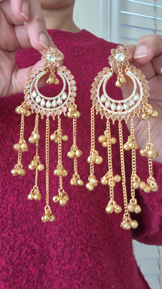 Ashi Kashmiri Earrings